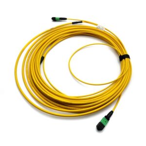 MPO-MPO Female Trunk Cable